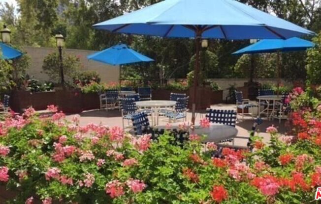 2 beds, 2 baths, 1,099 sqft, $4,500, Unit 1210