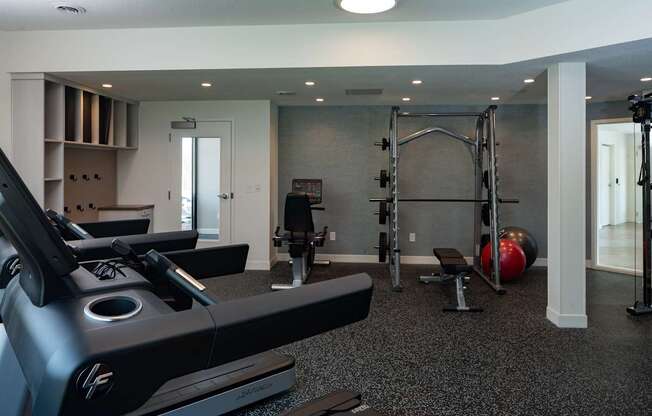 A gym with a treadmill, weights, and a ball.
