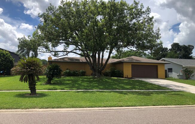 Enjoy this Huge Altamonte Pool home!