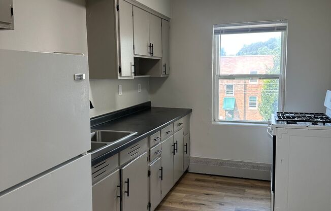 1 bed, 1 bath, 600 sqft, $1,040, Unit 308-1