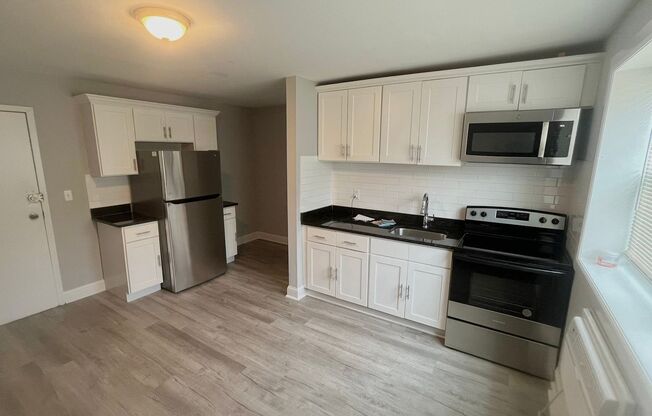 1 bed, 1 bath, 358 sqft, $1,500, Unit A-3