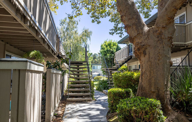 a path between two buildings with a tree and stairs