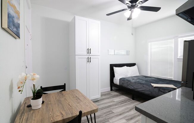Studio, 1 bath, 176 sqft, $1,245, Unit 21