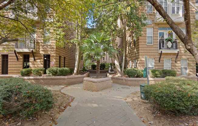 A tile walkway at Ten05 West Trade Apartments with a large tree in the middle.