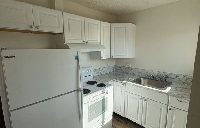 1 bed, 1 bath, 579 sqft, $999, Unit 2530-11