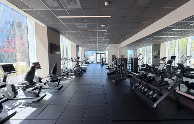 Studio, 1 bath, 480 sqft, $4,800