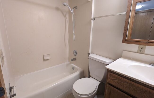 Studio, 1 bath, 310 sqft, $1,150, Unit 408