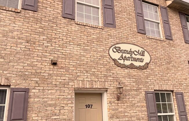 Brandy Mills Apartments LLC