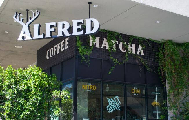 Alfred Matcha at Fedora Bliss LLC, California, 91367