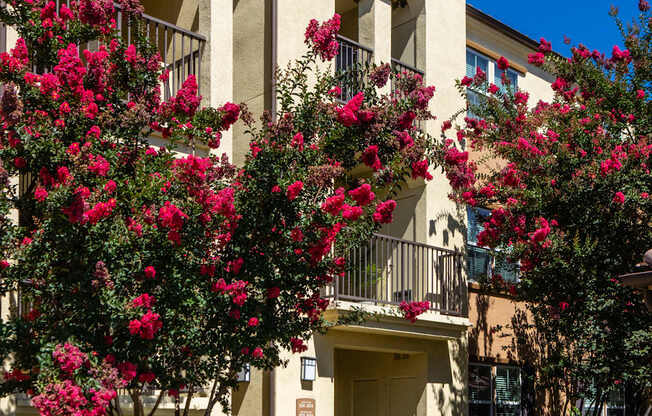 A building with a balcony and flowering plants in front.