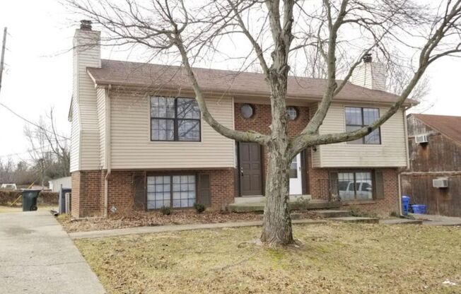 1364 Leaning Tree Lane