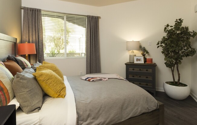 Enjoy the natural light and spacious homes in West LA