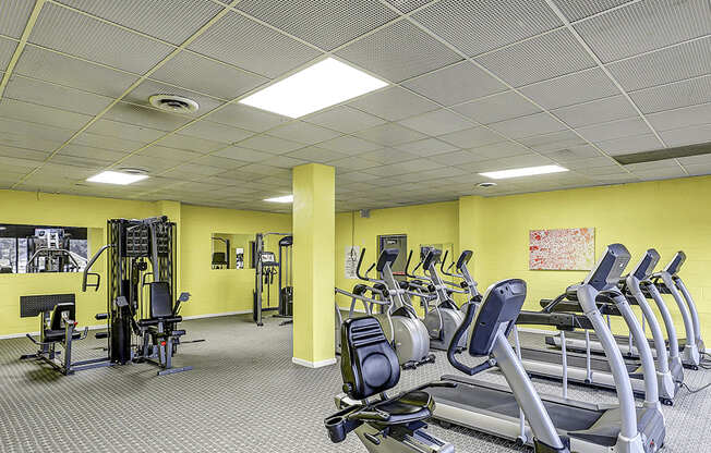 A gym with treadmills, weights and other exercise equipment.