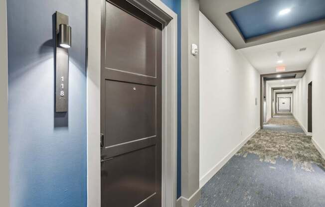 Hallway with blue walls and beautiful carpet- the entrance to an apartment