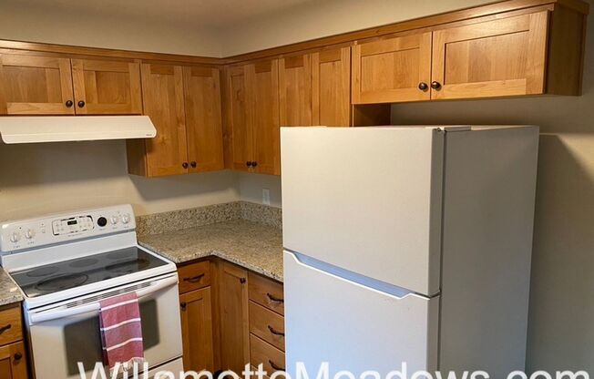 3 beds, 1 bath, 1,100 sqft, $1,775, Unit 306