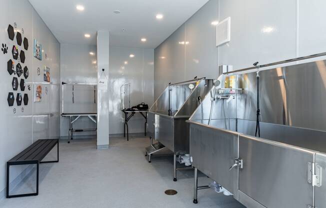 Pet-Friendly Apartments in Carmel, IN with Dog Spa