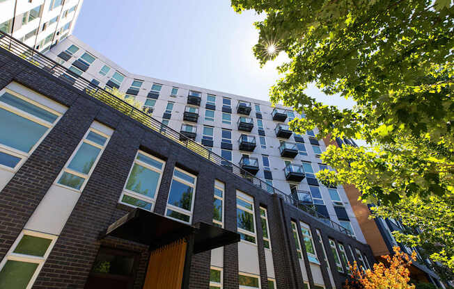 A modern building with a green tree in front.