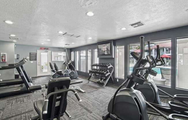 A gym with treadmills, exercise bikes, and other equipment.