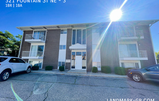 321 FOUNTAIN ST NE