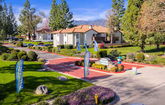 A residential area with a house, trees, and a well-maintained lawn.