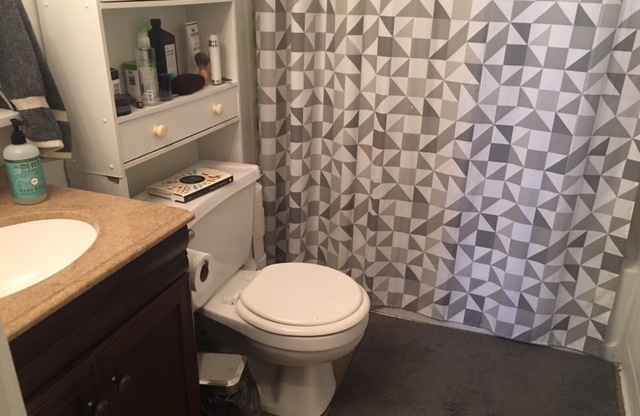 1 bed, 1 bath, 525 sqft, $1,200, Unit 3