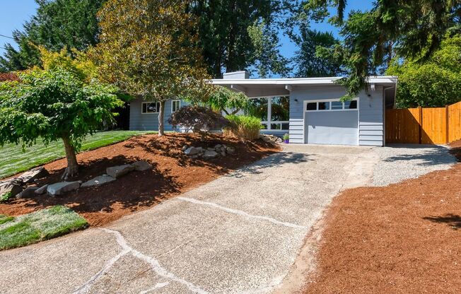 Newly Remodeled 3 Bed 1 Bath Rambler in Bellevue