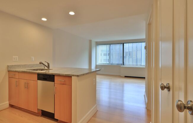 Studio, 1 bath, 460 sqft, $2,605, Unit 0809