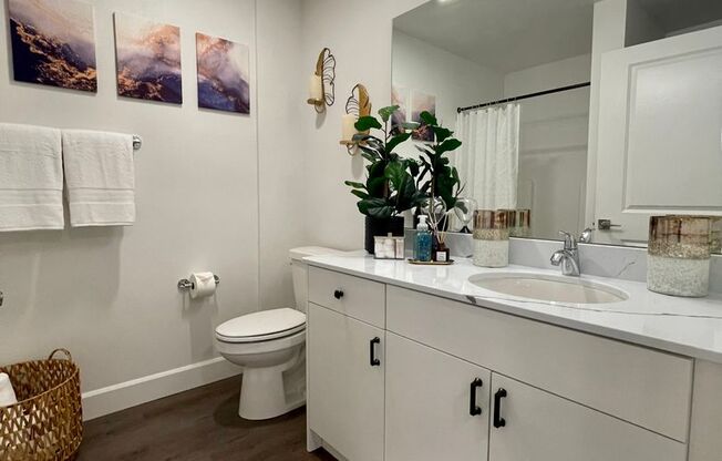 1 bed, 1 bath, 453 sqft, $2,400, Unit 410-505