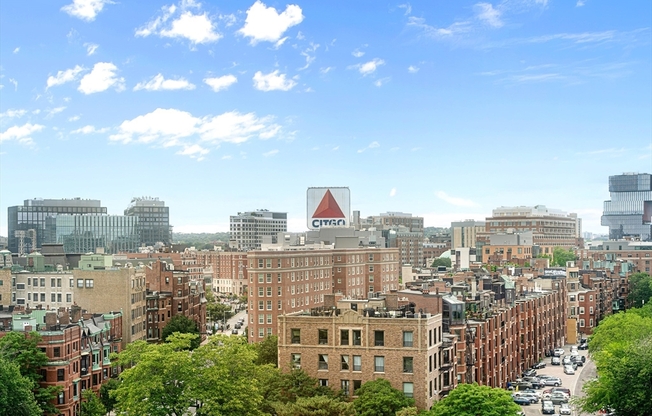 1 bed, 1 bath, 550 sqft, $3,400, Unit 1005