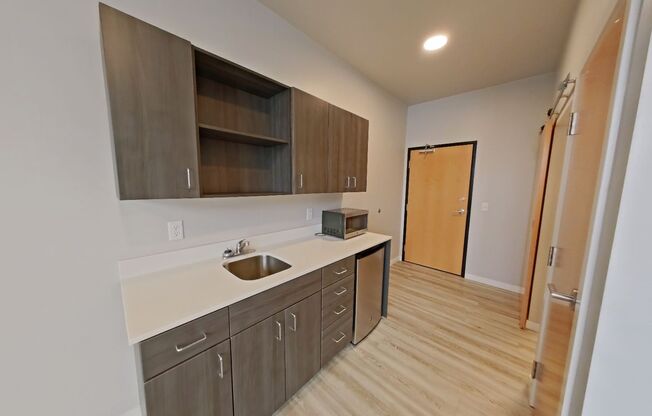Studio, 1 bath, 295 sqft, $1,050, Unit 215