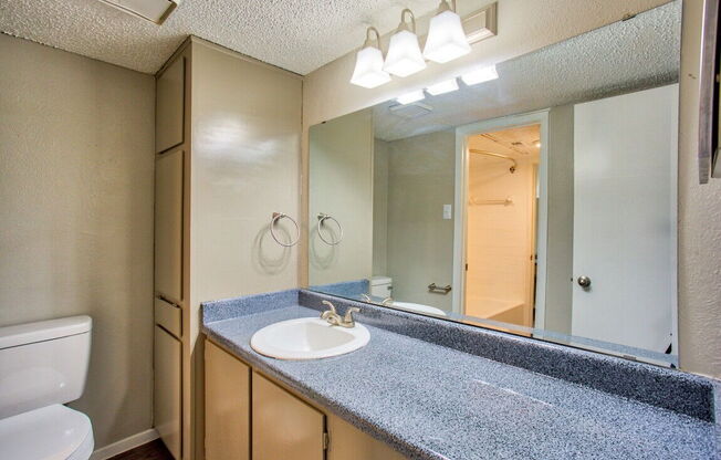 a bathroom with a sink and a mirror and a toilet