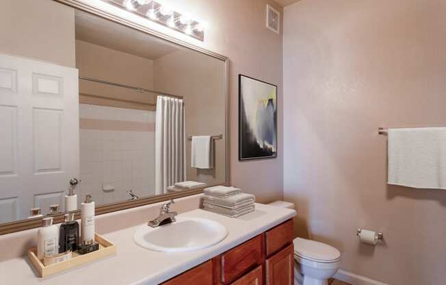 a bathroom with a mirror and a sink and a toilet