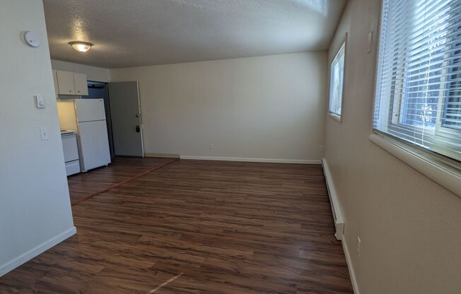 Studio, 1 bath, 350 sqft, $925, Unit 203