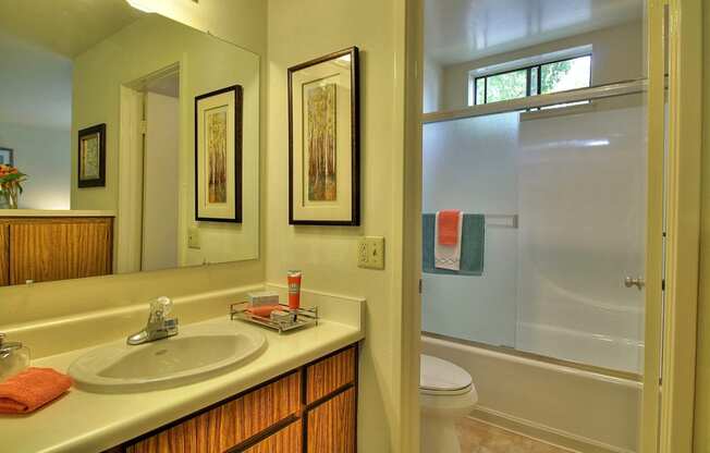 a bathroom with a sink and a toilet and a shower