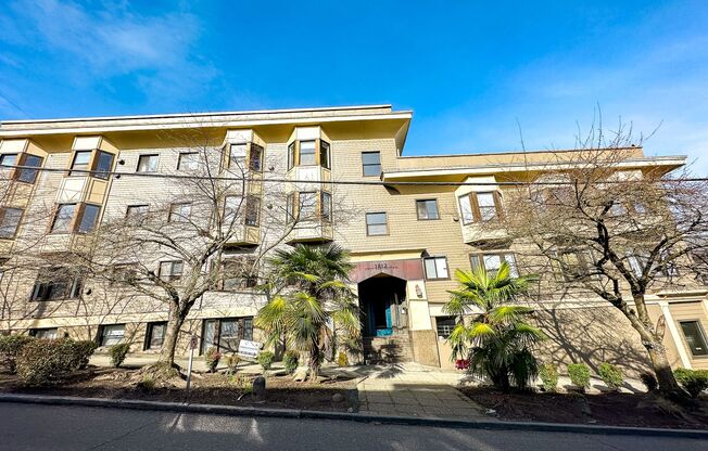 1 bed, 1 bath, 505 sqft, $1,495, Unit 19