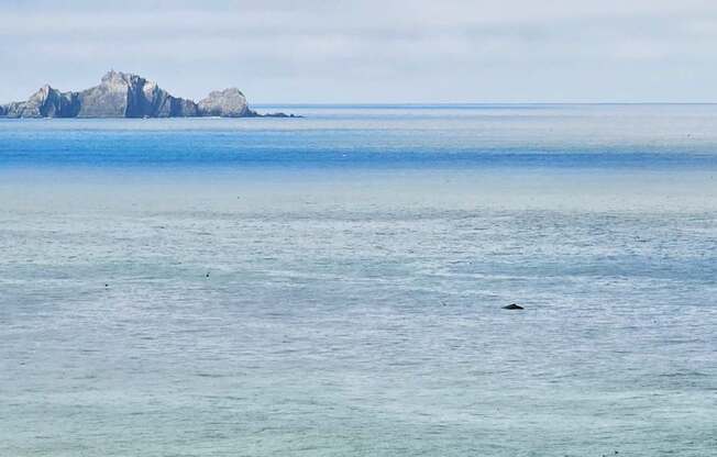 A small island is visible in the distance surrounded by the ocean.