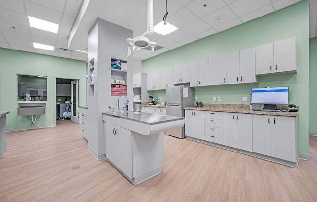 A dental office with a green wall and a white counter.