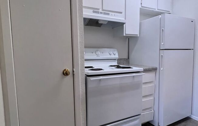 1 bed, 1 bath, 660 sqft, $1,000, Unit 1206