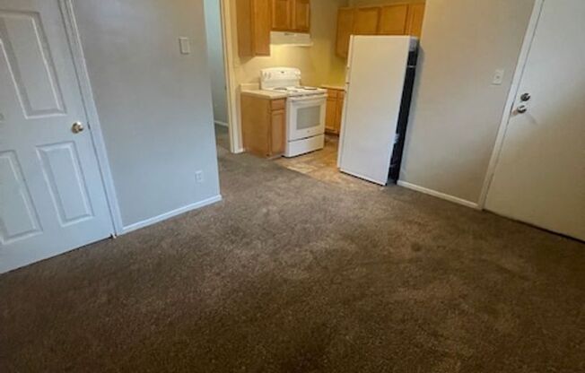 1060N